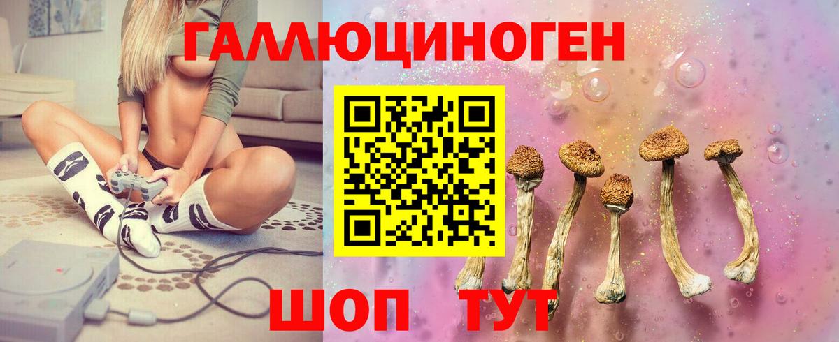 Псилоцибиновые грибы мицелий Артёмовский
