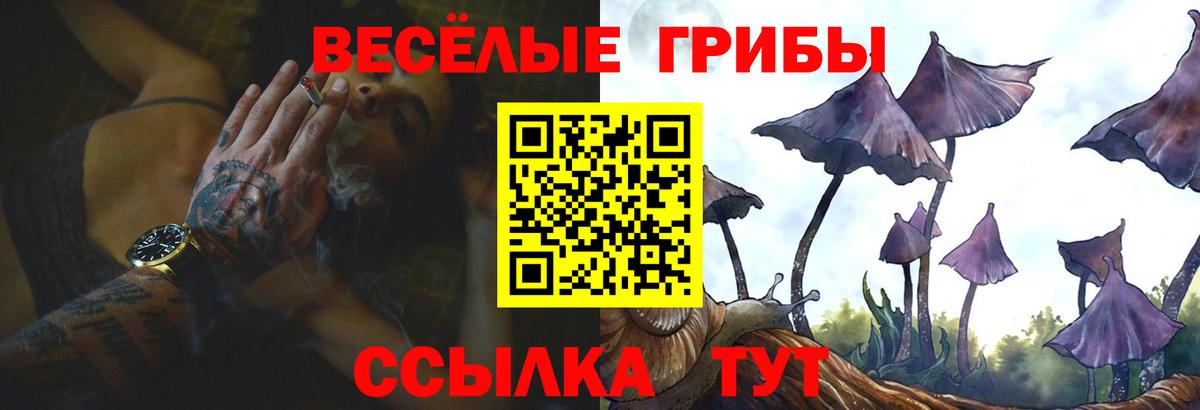 Галлюциногенные грибы мухоморы  Вход с VPN  Артёмовский  Псилоцибиновые грибы GOLDEN TEACHER 